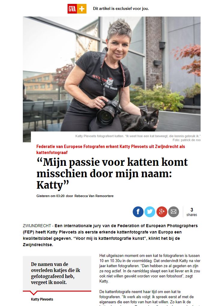 Katsign in Gazet Van Antwerpen01 online