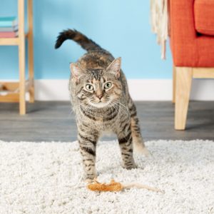 Skinneeez Mouse with Catnip