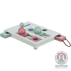 Brain Mover Strategisch Spel