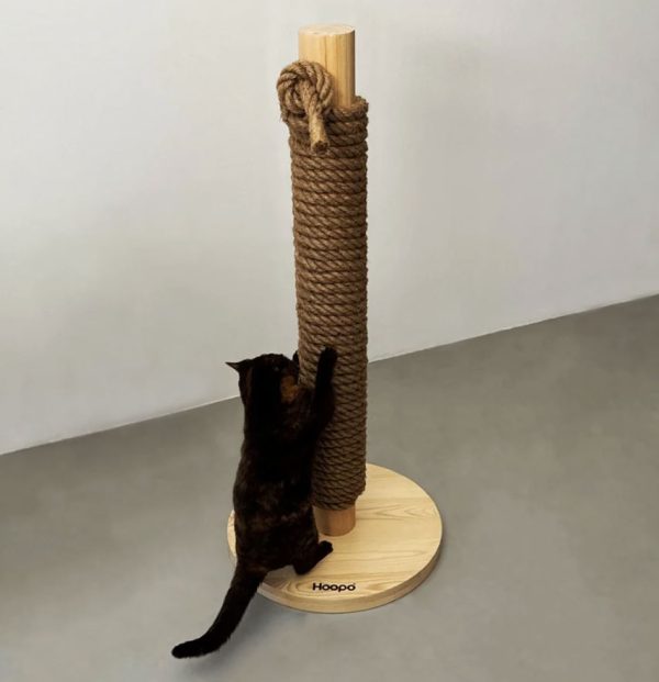 Hoopo - Totem - Afbeelding 3