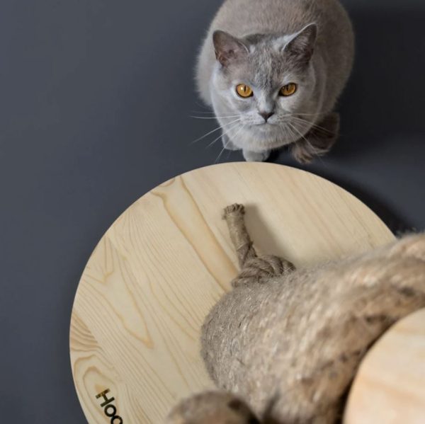 Hoopo - Totem - Afbeelding 4