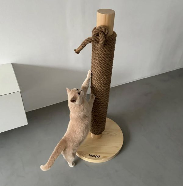 Hoopo - Totem - Afbeelding 6