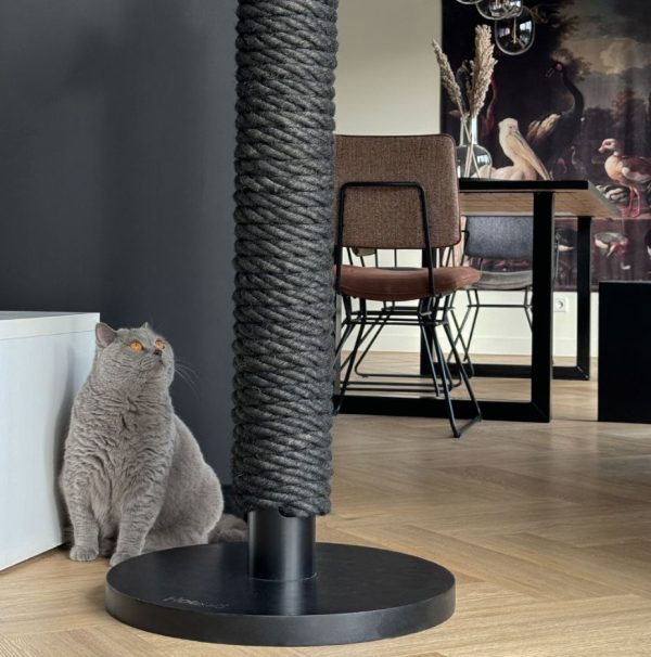 Hoopo - Totem - Afbeelding 11