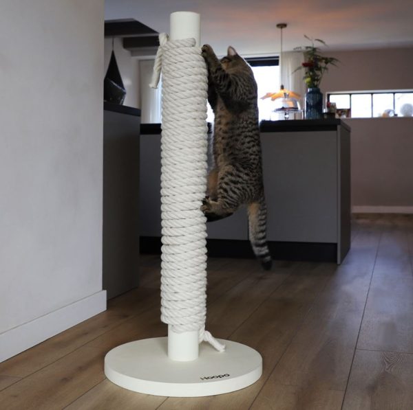 Hoopo - Totem