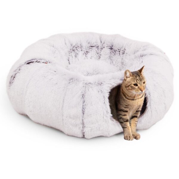 Cat tunnel Otis