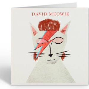 NIASKI - David Meowie
