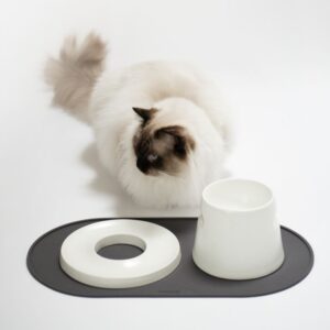 Hoopo - Base placemat