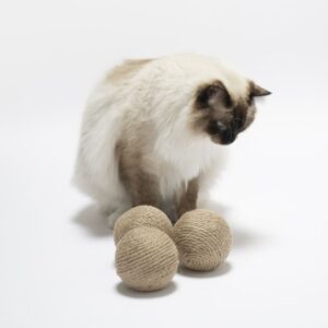 Globes Speelballen 3x