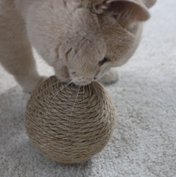 Globes Speelballen 3x - Afbeelding 9