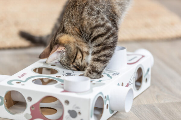 Paws'n'Treats Box - Afbeelding 3