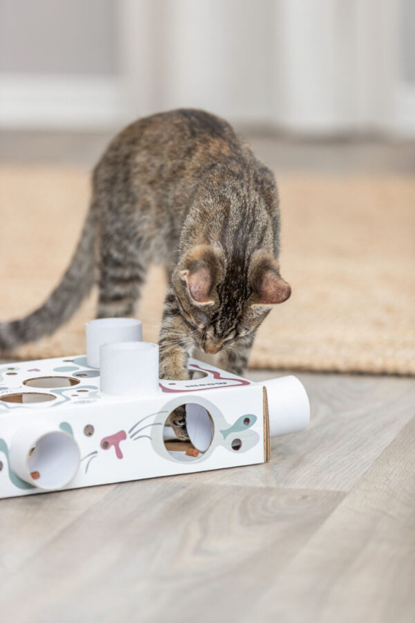 Paws'n'Treats Box - Afbeelding 4