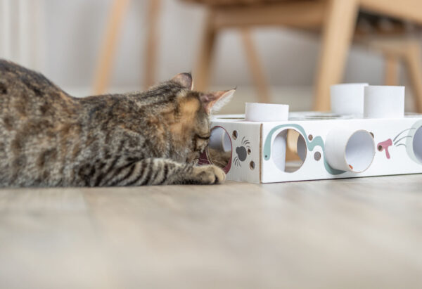 Paws'n'Treats Box - Afbeelding 5