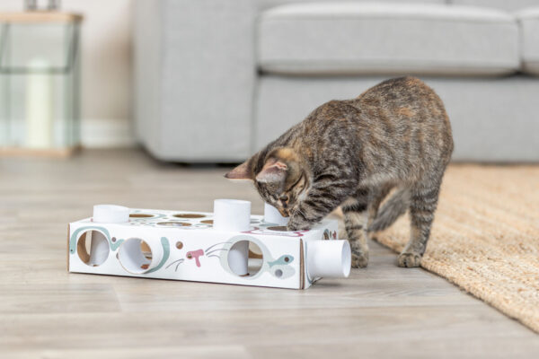 Paws'n'Treats Box