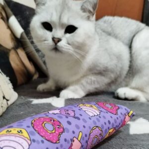 4cats Kawaii Food Collectie Speelrol - kicker gevuld met valeriaan of kattenkruid