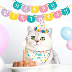 Gift Republic Birthday Kitty - Cat Birthday Kit