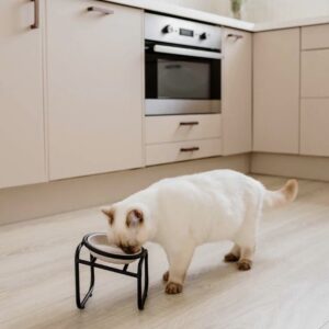 BUTLER Single standaard voor katten