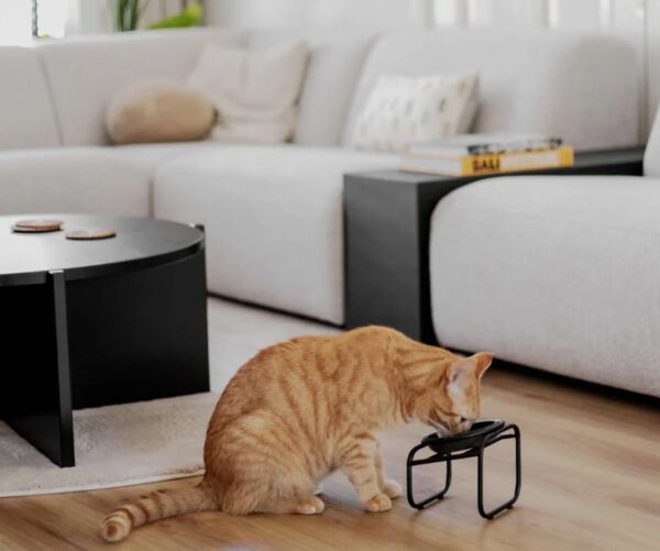 BUTLER Single standaard voor katten - Afbeelding 4
