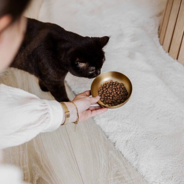 ROYAL roestvrijstalen voerbak voor katten - 300 ml - Afbeelding 3