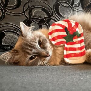 4cats Xmas Candy Cane gevuld met valeriaan of kattenkruid
