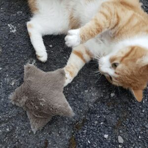 4cats Xmas Fluffy kerstster gevuld met valeriaan of kattenkruid