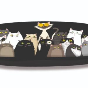 Brillenhoes Photos Matous