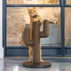 Designed By Lotte - cactus zwart