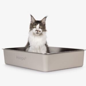 Hoopo Pool XXL - kattenbak