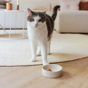 DUSK - Keramische kattenvoerbak