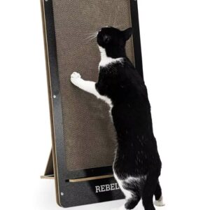 Scratch 'n Rebel Coco 80