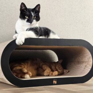 Scratch 'n Rebel Daisy 59