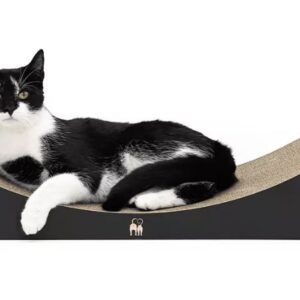 Scratch 'n Rebel Lily 75