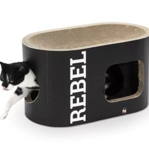 Scratch 'n Rebel Ruby 60