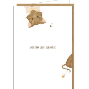 Kaartje LIN013 - Welkom lief kleintje