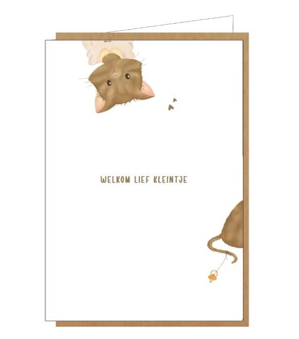Kaartje LIN013 - Welkom lief kleintje