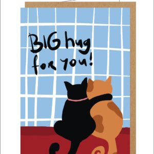 Kaartje LV016 - big hug for you