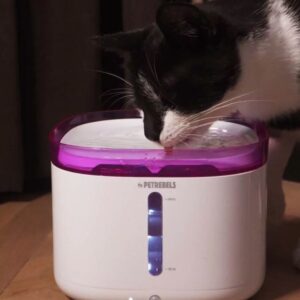 Filterset voor drinkfontein Jet 19 en Spring 20