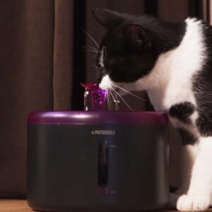 Drinkfontein Spring 20