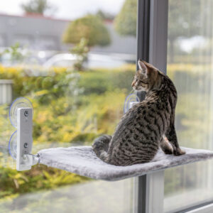 Ligplateau - hangmat (opklapbaar) voor aan het venster