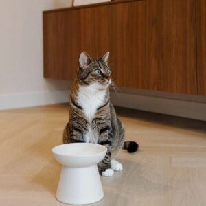 District 70 WABI SABI - Keramische voerbak