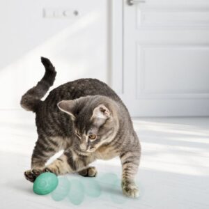 KONG Infused Catnip Egg