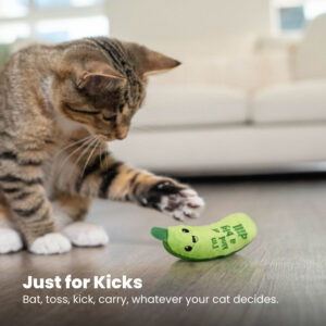 Catstages Crunchy Pickle Kicker