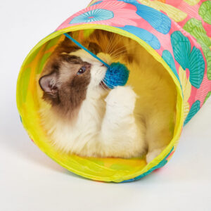 Fofos kattentunnel bloemen