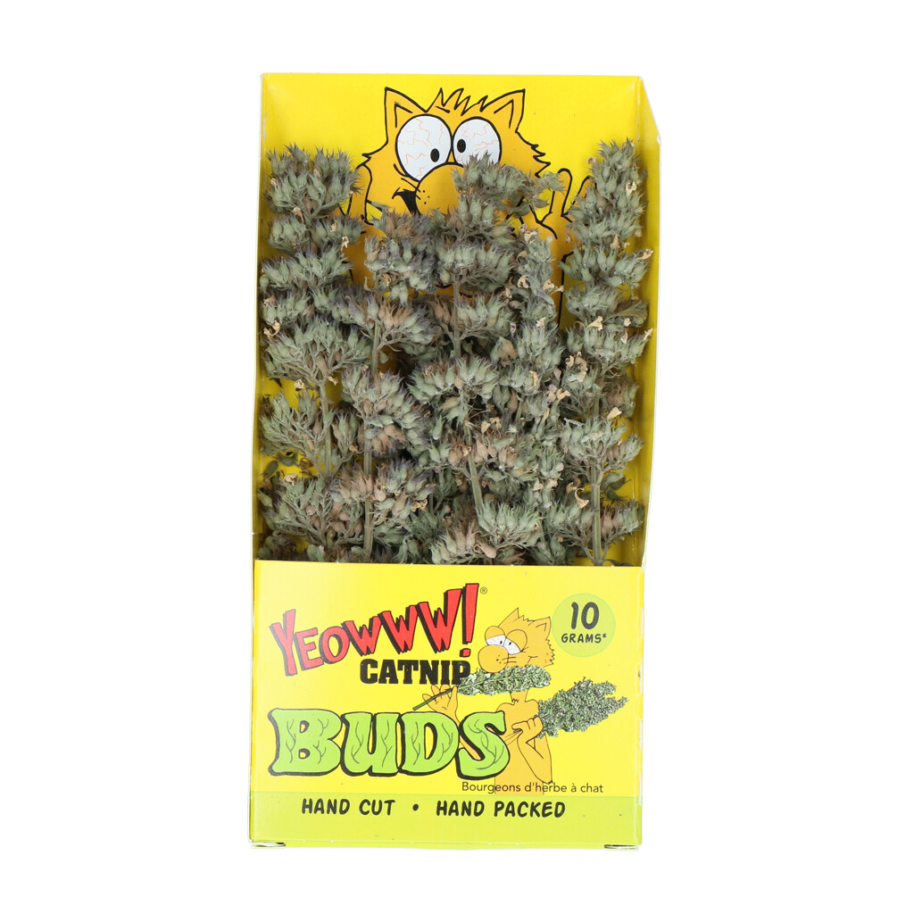 Yeowww! Catnip Buds