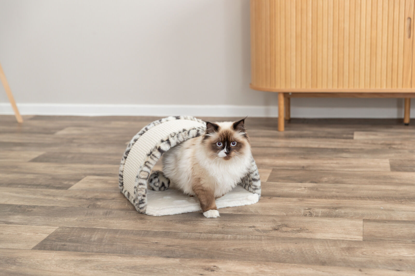 Trixie krabbrug Leo