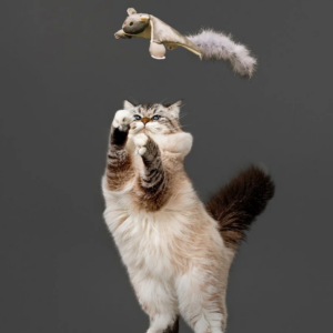 Playology Flying Squirrel