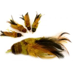Purrs Greenfinch Bird