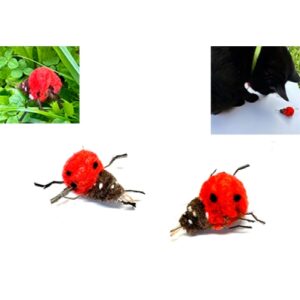 Purrs Little Ladybird