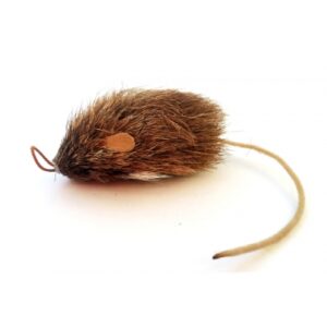 Purrs Shrew