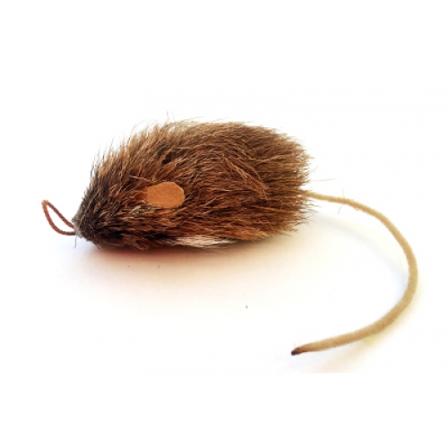 Purrs Shrew