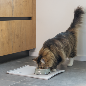 Simon's Cat Placemat - Silicone - Lichtblauw